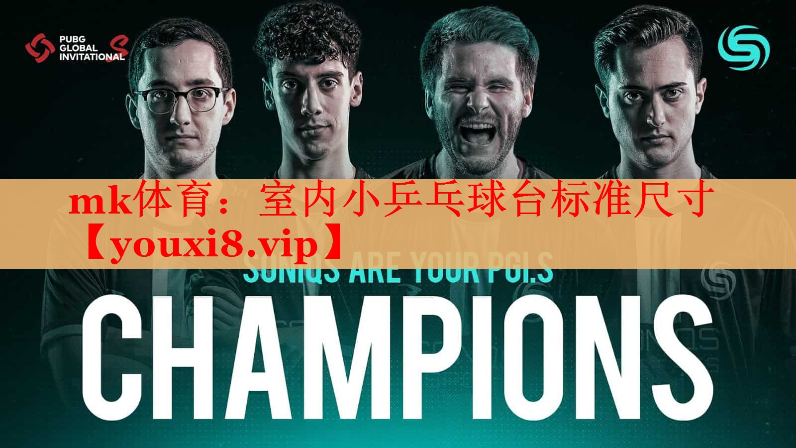 mk体育：室内小乒乓球台标准尺寸